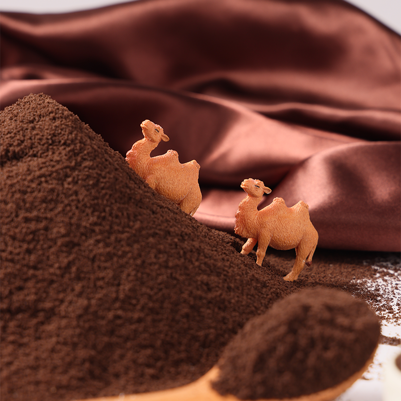 Poudre de biscuit au cacao