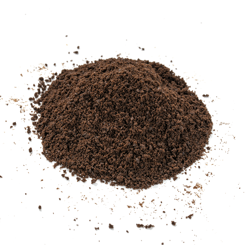 Poudre de biscuit au cacao